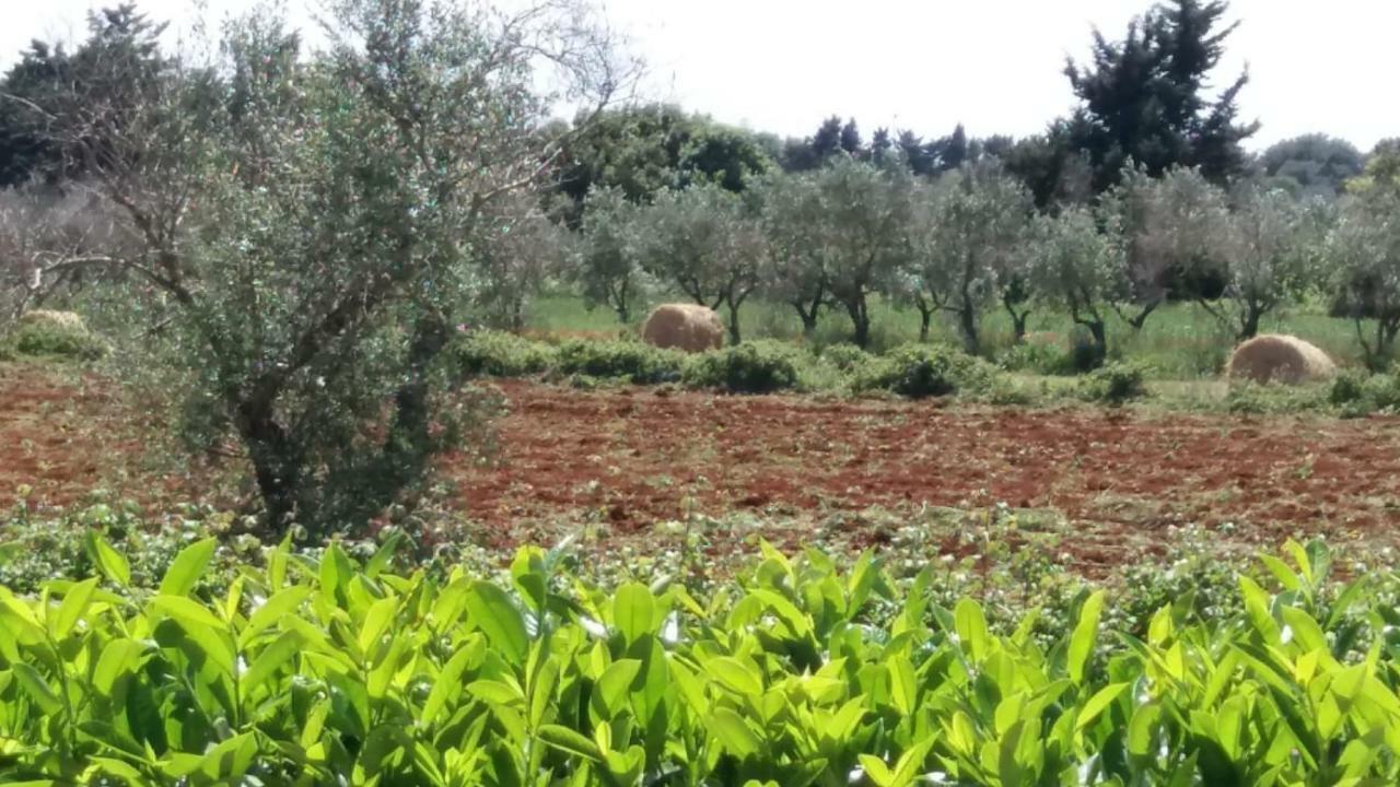 Villetta Orchidea Giuggianello Kültér fotó